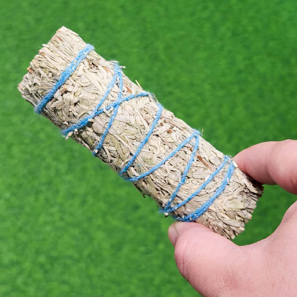 Blue Sage