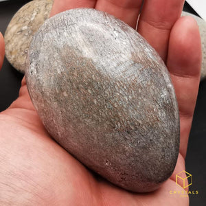 Dragon Bone Fossil Palm Stone